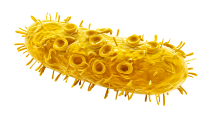 Detailed microscopic view of a yellow oval bacterium with flagella and surface pores, cut out transparent