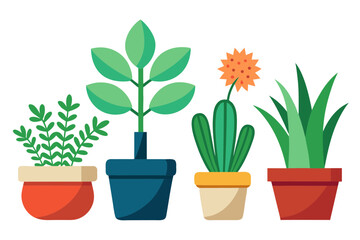 Indoor Plants in Pots Illustration