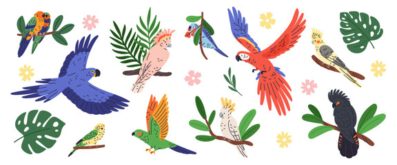 Obraz premium Exotic parrots and plants. Tropical leaves and flowers, bright plumage birds, flying and sitting pets, colored feathers, macaw, cockatoo and ara, botanical elements garish vector isolated set