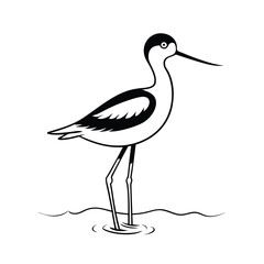 Fototapeta premium Elegant line art illustration of a pied avocet bird standing gracefully in calm water