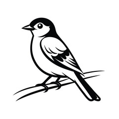 Elegant line art illustration of a pied flycatcher bird gracefully perched on a delicate twig against a clean white background
