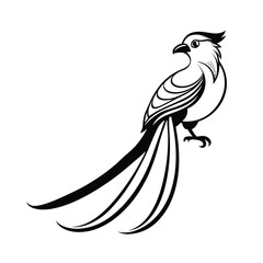 Elegant line art illustration of a quetzal bird with its distinctive long tail feathers in flight