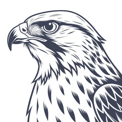 Staringbird White Background
