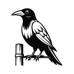 Line art illustration of a rook bird perched on a fence post against a clean white background