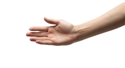 Transparent PNG of Open Hand, A Realistic Detailed Image of a Person's Open Palm and Forearm on a Transparent Background, Ideal for Design Layering and Compositing