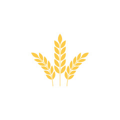 Golden Wheat Stalks Illustration on White Background Symbolizing Harvest and Agriculture Growth