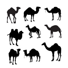 set of vector silhouettes of animals