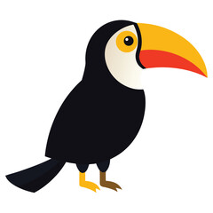 Toucan White Background
