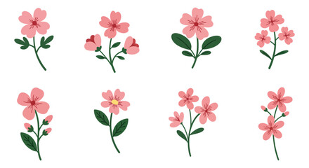 Collection of Delicate Pink Flower Illustrations for Springtime and Botanical Designs
