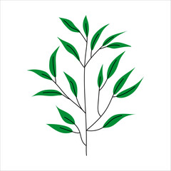 Spring green plant branch hand drawn. Vector stock illustration. Easter decoration. Floral branch. Hand drawn elements. Good for greeting cards, invitations, flyers and other graphic design. leaves