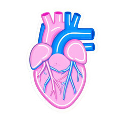 Obraz premium Vibrant Neon Anatomical Heart Sticker Illustration in Pink and Blue