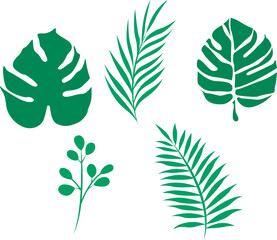 set of green leaves