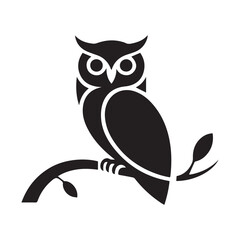 owl sitting on branch