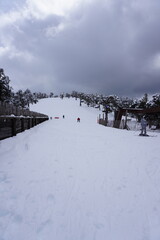 Snowy Ski Slope: A pristine ski slope blanketed in fresh snow, offering a picturesque winter wonderland scene, perfect for skiers and snowboarders alike. The cloudy sky enhances the atmospheric feel.