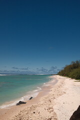 sandy ebach with blue sky and coral
