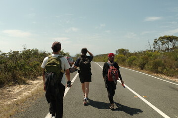 Fototapeta premium group of hikers in the mountains