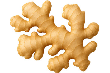 Fresh ginger root on a pale background textured surface and branching form in crisp detail