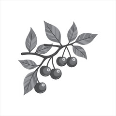 Cherry Tree Branch with Red Fruits and Green Leaves,Red Cherry Fruits on Tree Branch Illustration,Vector Cherry Branch with Leaves and Berries,Summer Cherry Tree Branch Vector Art