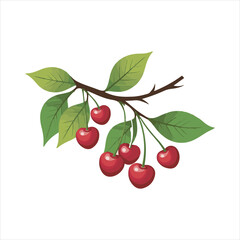 Cherry Tree Branch with Red Fruits and Green Leaves,Red Cherry Fruits on Tree Branch Illustration,Vector Cherry Branch with Leaves and Berries,Summer Cherry Tree Branch Vector Art