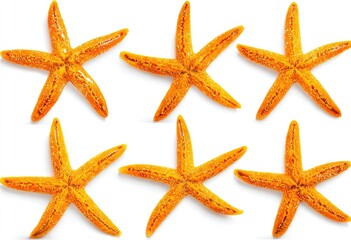 Six bright orange starfish arranged in a grid pattern on a white background
