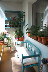 Small balcony with blue wooden bench and summer flowers.