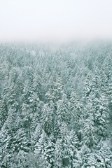 Snowy peaks and valley under a cloudy winter sky