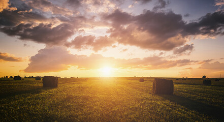 Fototapeta premium Sunset over hay bales in a field. Golden light bathes the landscape, creating a tranquil scene. For agriculture, travel and inspiring greeting card designs. Vintage film aesthetic.