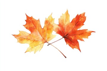 Autumn watercolor maple leaves illustration