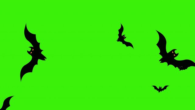 Halloween Bat Swarm Animation on Green Screen Background for Video Editing and Special Effects in 4k