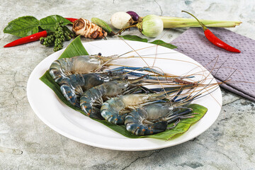 Raw blue river prawn in the plate
