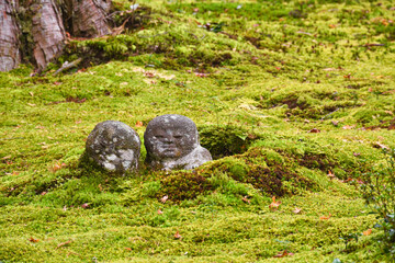 京都　大原　三千院　わらべ地蔵と散りもみじ（モミジ）　（日本京都府京都市左京区）Warabe Jizo and Falling Maple Leaves at Sanzen-in Temple（Sanzenin Temple）in Ohara , Kyoto (Sakyo Ward, Kyoto City, Kyoto Prefecture, Japan)
