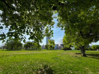 都市の中の緑あふれる公園