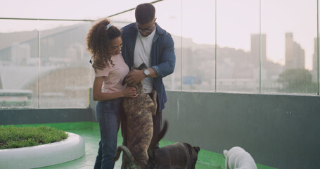 Hug, couple and dogs at shelter for adoption, foster and choice for animal rescue with love. Pets, happy man and woman at pound for care, help and embrace partner for support at charity together