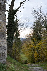 Fototapeta premium Ein Wanderweg führt im Herbst zwischen bunten Sträuchern hindurch an einer Burg vorbei