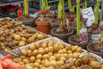 Aarhus, Denmark. Potatoes for sale on Ingerslev Boulevard 2021