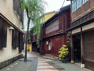 柳と町家が並ぶ雨あがりの東茶屋街・和の風情ある路地