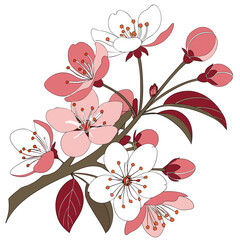 floral background with apple blossoms wild crab © MOHAMMADRIPON