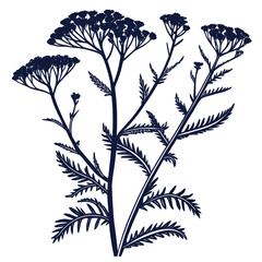 achillea tomentosa vector © MOHAMMADRIPON