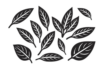 Botanical Leaf Silhouettes Collection Isolated on White Background Decorative Design