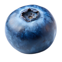 a single juicy blueberry closeup on white