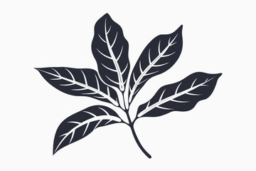 Dark Grey Tropical Leaves Silhouette Design Isolated on White Background