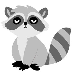 Raccoon 