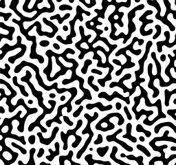 vector seamless pattern with zebra