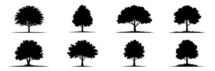 Eight Black Tree Silhouettes: Variations in Crown Shape and Base Detail