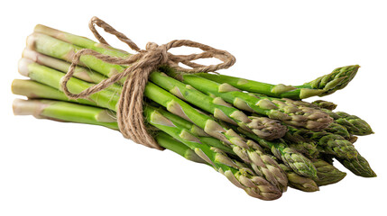 Fresh asparagus bundled with twine on a white background, showcasing vibrant green color and texture.