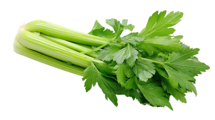Fresh celery stalks with vibrant green leaves, isolated on a white background.