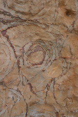 texture of the stone 