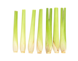 Fresh lemongrass stalks arranged in a line, showcasing their slender green structure and bulbous bases.