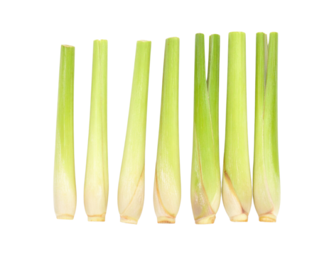 Fresh lemongrass stalks arranged in a line, showcasing their slender green structure and bulbous bases.