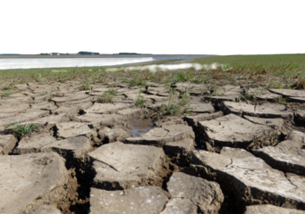 Dry cracked earth, sparse grass, distant water